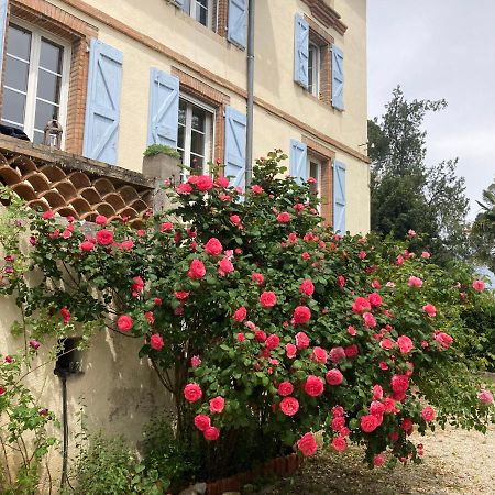 Domaine De Menerque - Petit Chateau Avec Piscine Lisle-sur-Tarn Kültér fotó