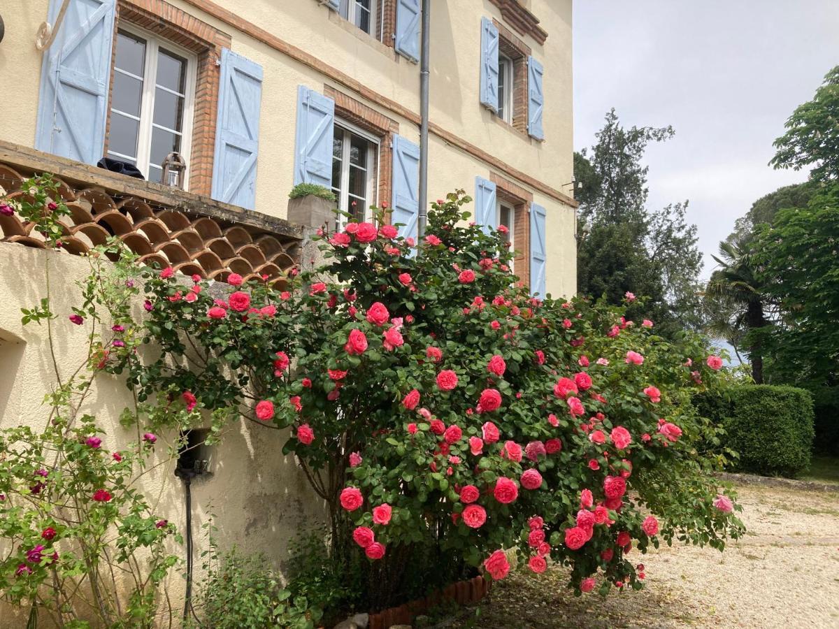 Domaine De Menerque - Petit Chateau Avec Piscine Lisle-sur-Tarn Kültér fotó