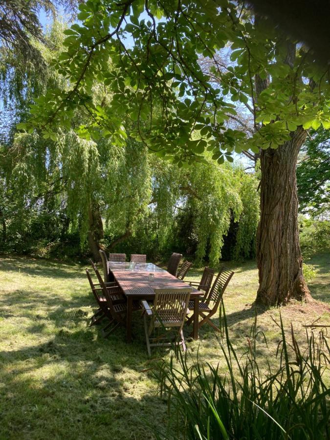 Domaine De Menerque - Petit Chateau Avec Piscine Lisle-sur-Tarn Kültér fotó