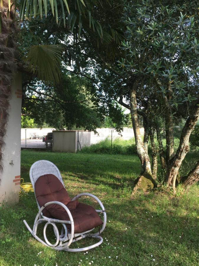 Domaine De Menerque - Petit Chateau Avec Piscine Lisle-sur-Tarn Kültér fotó