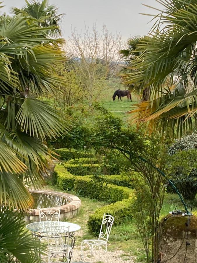 Domaine De Menerque - Petit Chateau Avec Piscine Lisle-sur-Tarn Kültér fotó