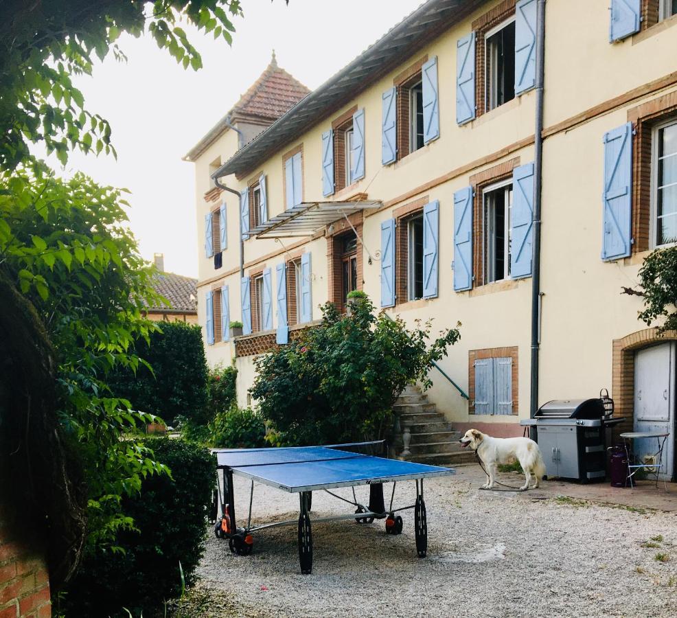Domaine De Menerque - Petit Chateau Avec Piscine Lisle-sur-Tarn Kültér fotó