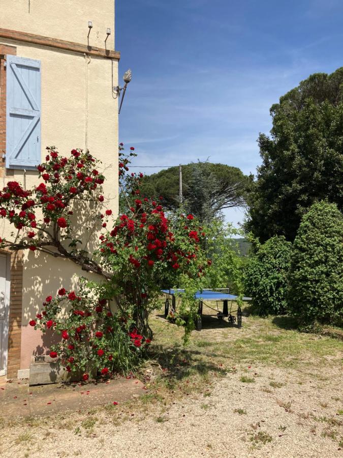 Domaine De Menerque - Petit Chateau Avec Piscine Lisle-sur-Tarn Kültér fotó